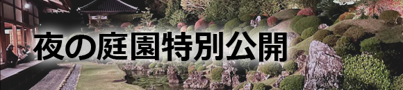 名勝庭園　夜間特別公開