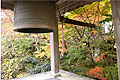 秋の龍潭寺